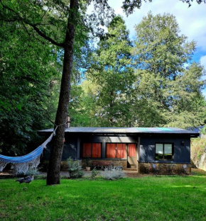 House del Bosque